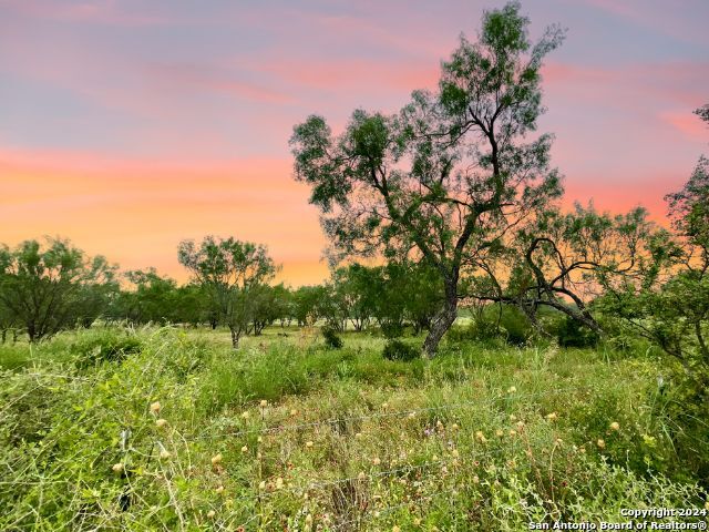 Image 6 of 11 For 730 County Road 2530