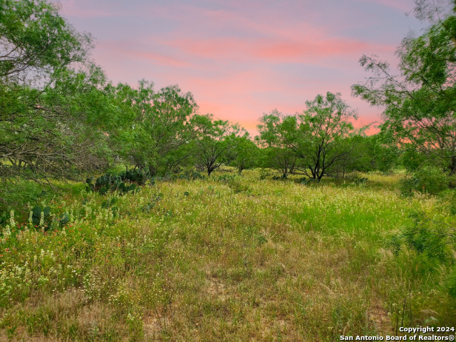 Image 7 of 11 For 730 County Road 2530