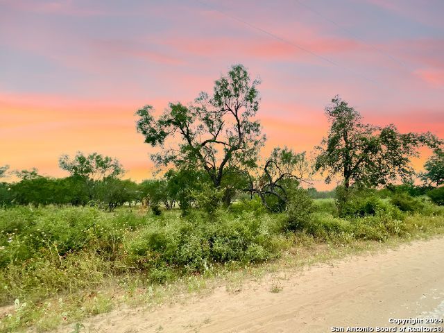 Image 8 of 11 For 730 County Road 2530