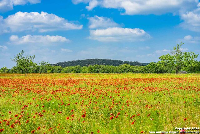 Details for 5248 Lower Crabapple, Fredericksburg, TX 78624