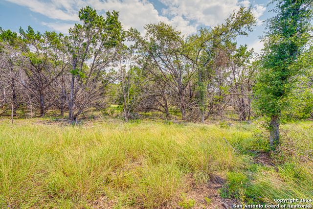 Image 9 of 23 For 1642 Paradise Parkway