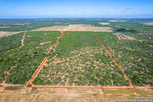 Details for 9715 County Road 331, Jourdanton, TX 78026