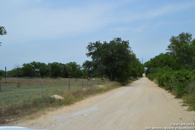 Image 11 of 14 For 2880 Blue Wing Rd. Lot #5