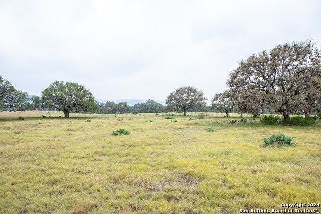 Image 8 of 16 For 775 Powers Ranch