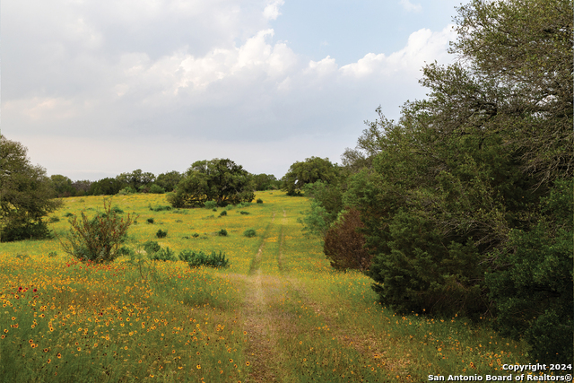 Image 11 of 35 For 90 County Road 424