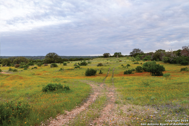 Image 17 of 35 For 90 County Road 424