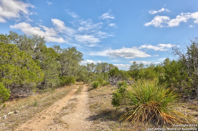 Listing photo id 19 for Tracts 2, 3, 4 Rocky Top Rd