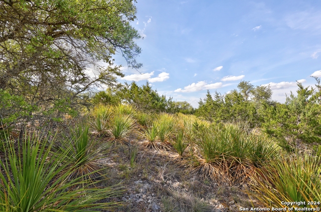 Listing photo id 21 for Tracts 2, 3, 4 Rocky Top Rd