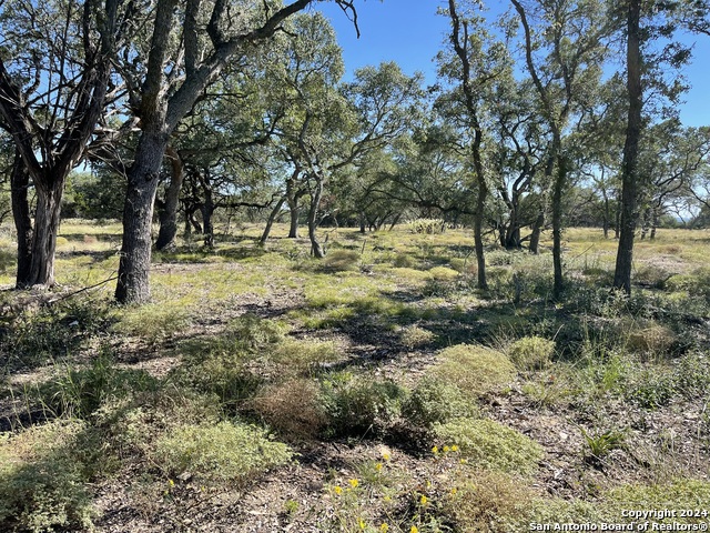 Image 8 of 47 For 0000 State Highway 16 S