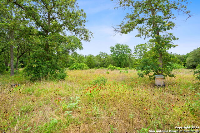 Listing photo id 28 for 1167 County Road 441