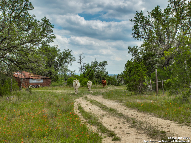 Image 17 of 43 For 706 Paleface Ranch Rd S