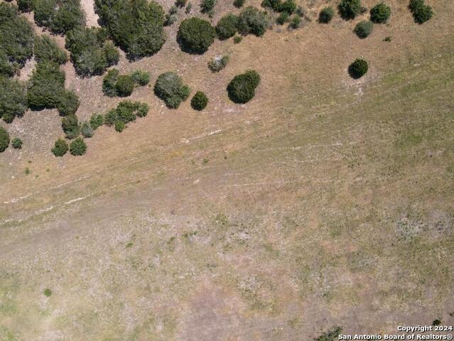 Image 4 of 8 For Lot 277 Palomino Springs