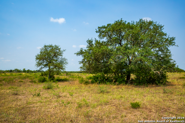 Image 8 of 21 For 3698 Viggo Rd