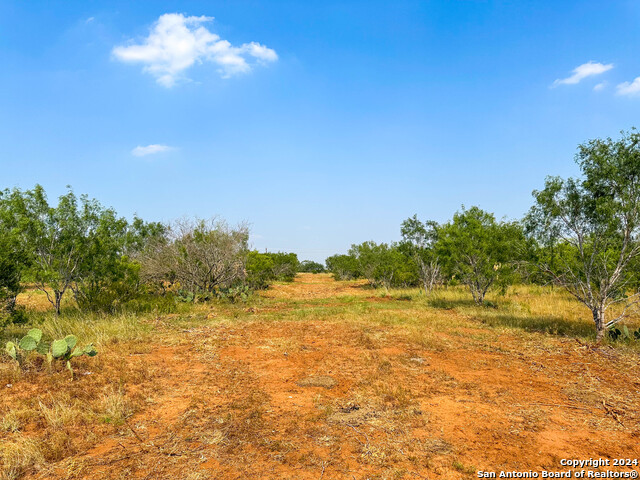 Details for 000 County Road 429, Pleasanton, TX 78064