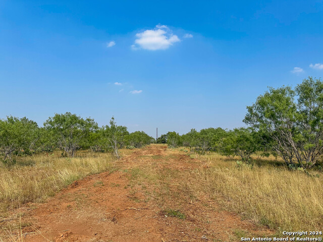 Image 10 of 11 For 000 County Road 429