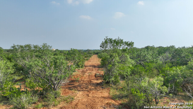 Image 4 of 11 For 000 County Road 429