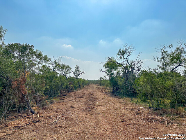 Image 9 of 11 For 000 County Road 429