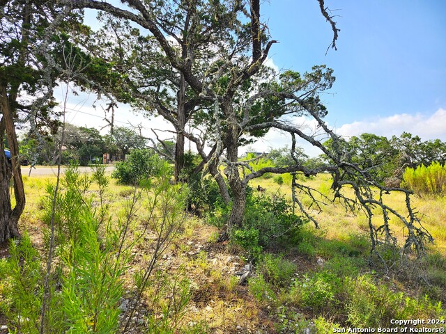 Image 6 of 11 For 34 County Road 175