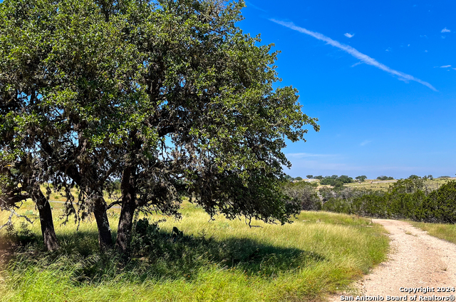 Image 10 of 21 For Lot 94 Loma Vista Ranch