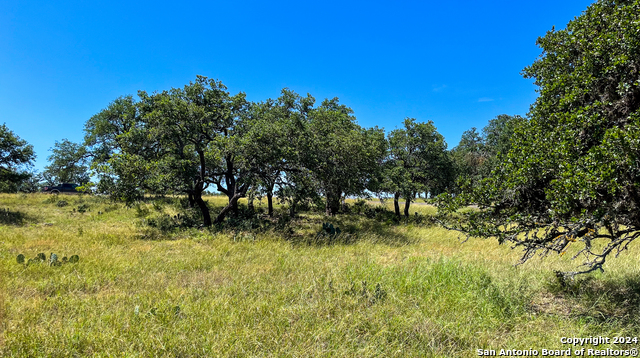 Image 13 of 21 For Lot 94 Loma Vista Ranch