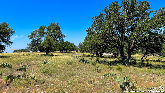 Image 17 of 21 For Lot 94 Loma Vista Ranch