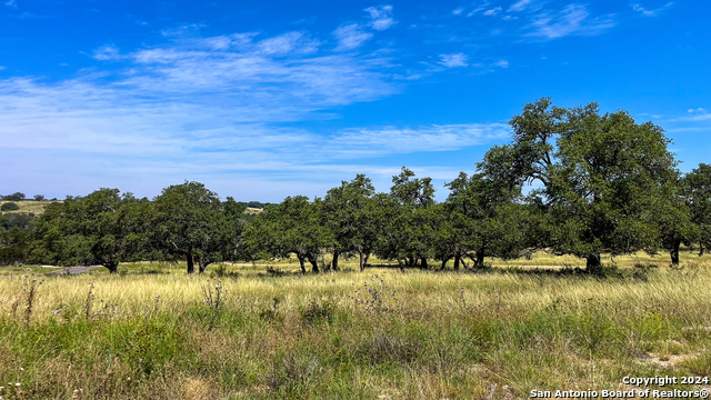 Image 3 of 21 For Lot 94 Loma Vista Ranch