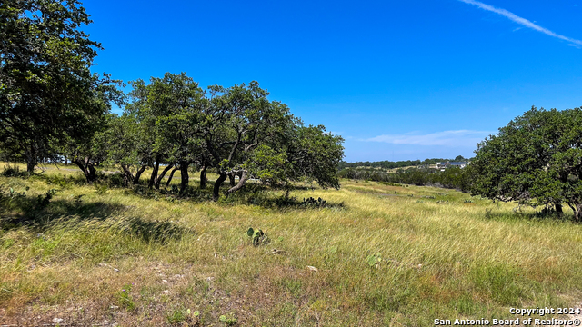 Image 7 of 21 For Lot 94 Loma Vista Ranch