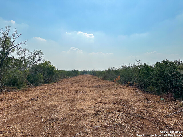 Image 6 of 8 For 003 County Road 429