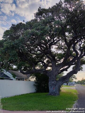 Listing photo id 30 for 718 Live Oak