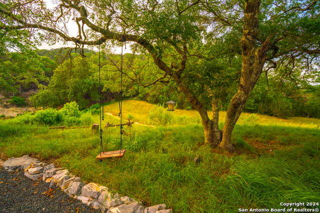 Listing photo id 25 for 103 Bella Springs Rd