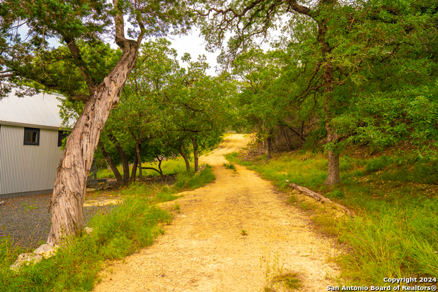 Listing photo id 27 for 103 Bella Springs Rd