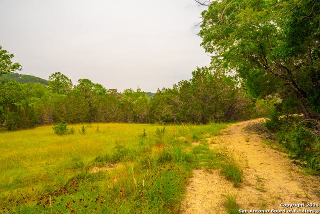 Listing photo id 28 for 103 Bella Springs Rd