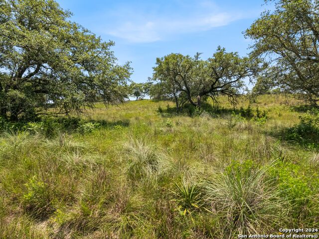 Image 50 of 50 For 305 Upper Cibolo Creek Rd