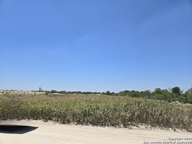Listing photo id 5 for 12734 Us Highway 90