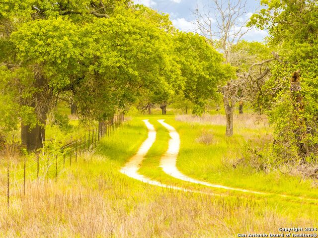 Image 8 of 9 For 1805 County Road 317