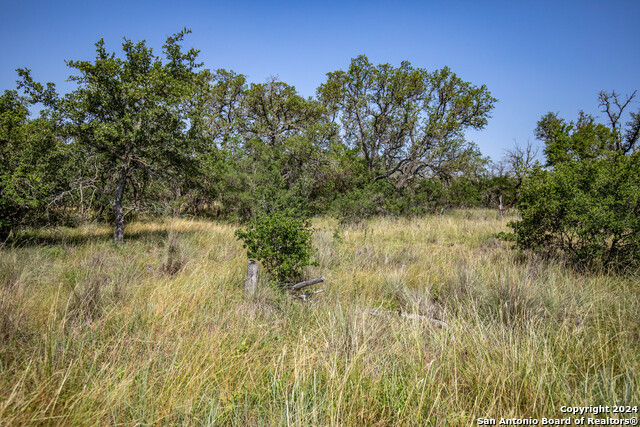 Image 18 of 33 For 180 Steel Creek Crest