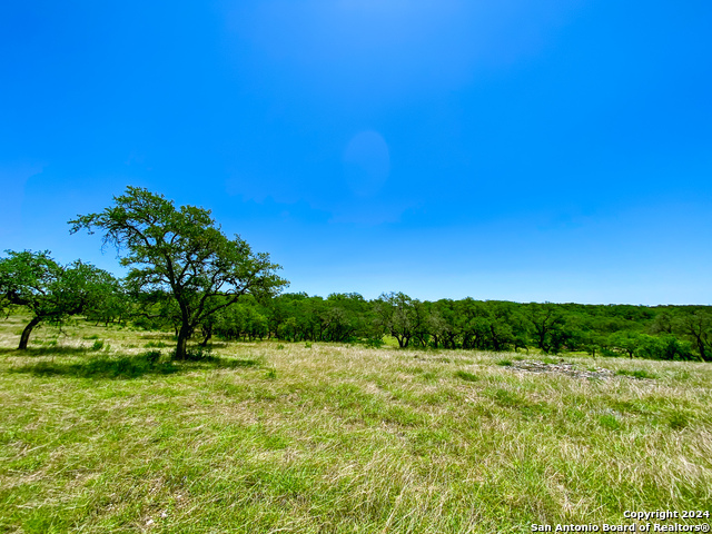 Image 12 of 34 For Lot 23 Loma Vista Ranch