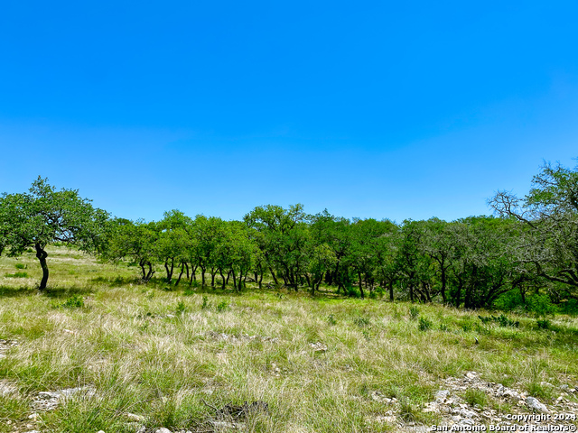 Image 14 of 34 For Lot 23 Loma Vista Ranch