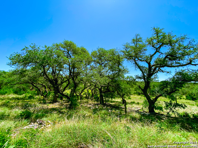 Image 17 of 34 For Lot 23 Loma Vista Ranch