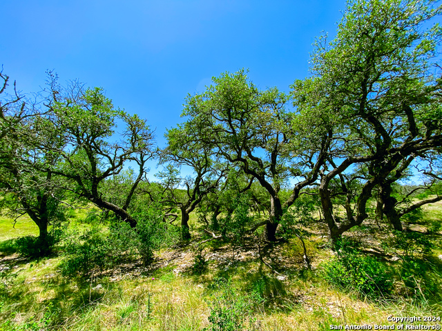 Image 21 of 34 For Lot 23 Loma Vista Ranch