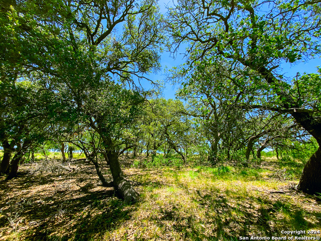 Image 25 of 34 For Lot 23 Loma Vista Ranch