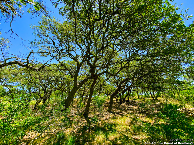 Image 26 of 34 For Lot 23 Loma Vista Ranch