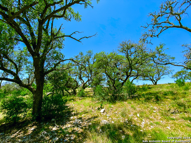 Image 31 of 34 For Lot 23 Loma Vista Ranch