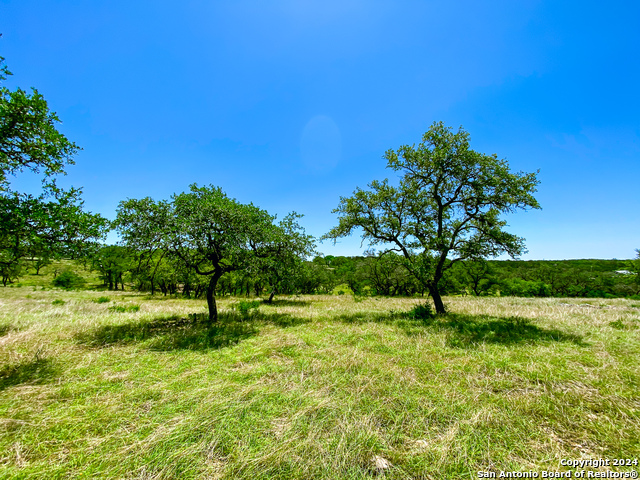 Image 8 of 34 For Lot 23 Loma Vista Ranch