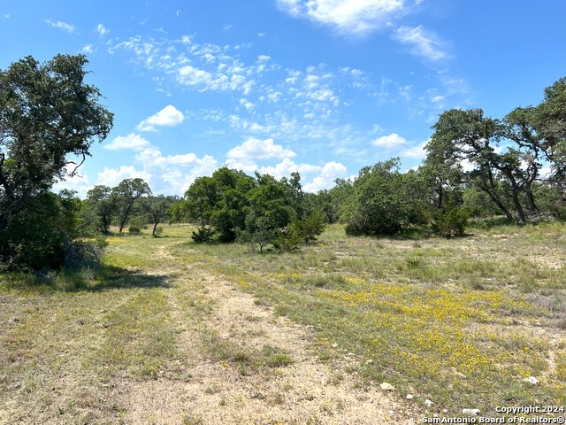 Image 8 of 36 For 0 Cottonwood Rd.