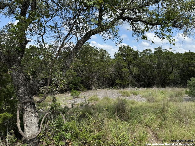 Details for 2838 Mountain Creek Rd, Pipe Creek, TX 78063