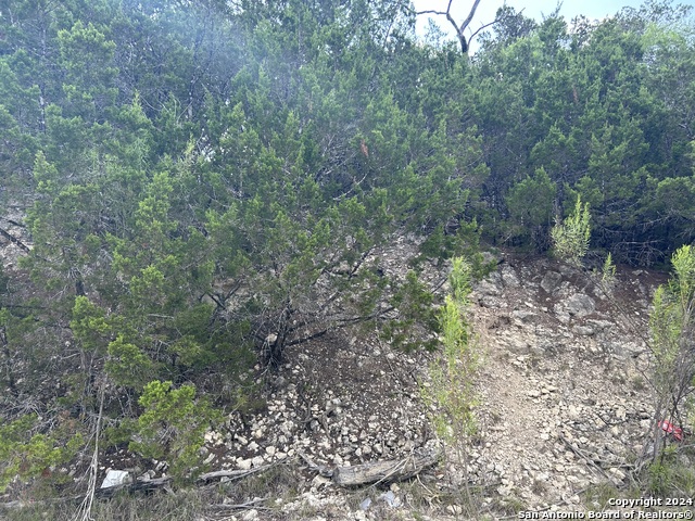 Image 4 of 4 For Lot 361 Frio