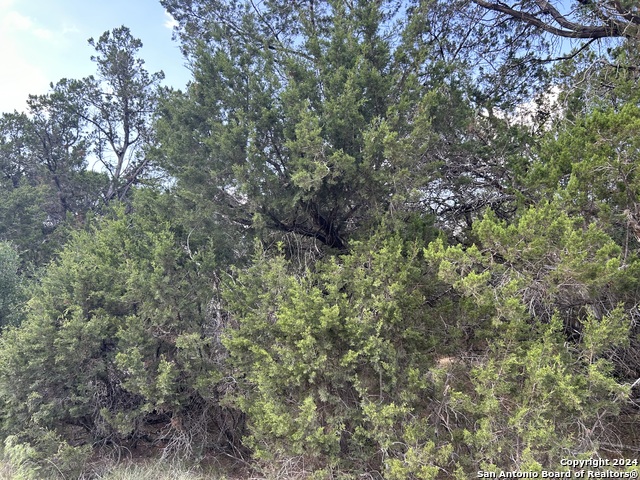 Details for Lot 30 Paladin, Bandera, TX 78003