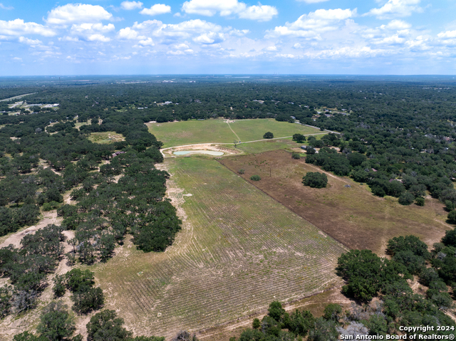 Listing photo id 7 for 78± Ac Mathis Rd