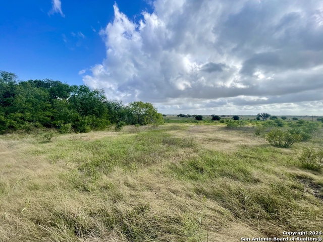 Details for Tract 2 920 County Road 201, Falls City, TX 78113